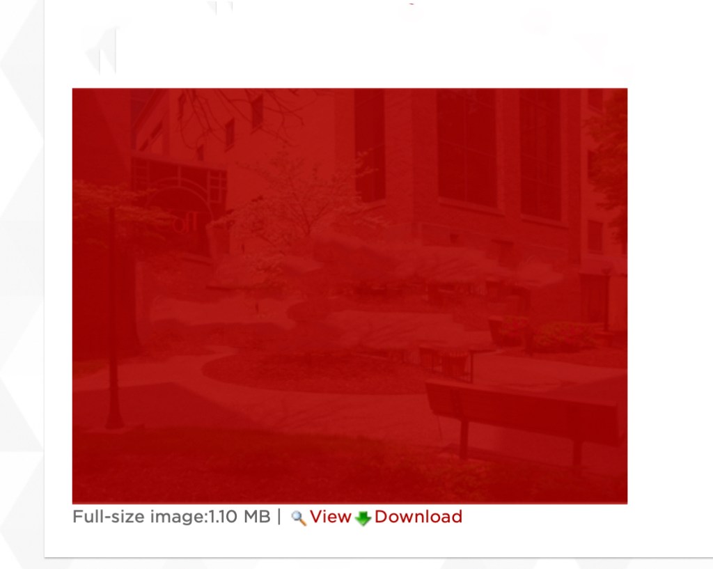 Seascape with Rocks Lizard, Bournemouth; Seascape with rocks (Lizard, Bournemouth?) Inscribed on back in graphite lower right: [Elisabeth], Not signed. 